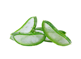 aloe vera on transparent png