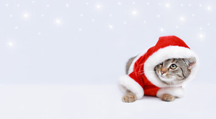 Surprised little Kitten. Funny Cat Santa Claus. New Year greeting card. Kitten Santa Claus on the white background. Merry Christmas. Happy New Year. Beautiful web banner. Copy space. Xmas. Small Cat