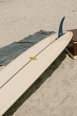 the quiver