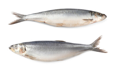 Two tasty salted herrings on white background