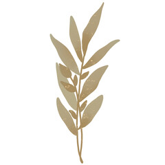 Watercolor Leaves Illustration Transparent