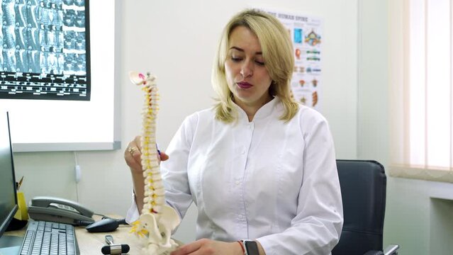 Positive smiling doctor-neurologist pointing at the model of skeleton. Professional explaining the reasons of back pain and other problems. Hospital cabinet backdrop.