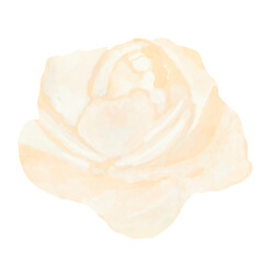 Beautiful Watercolor Flower Illustration
