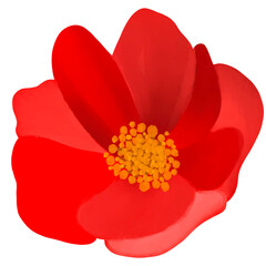 Beautiful Watercolor Flower Illustration