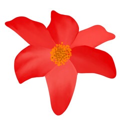 Beautiful Watercolor Flower Illustration