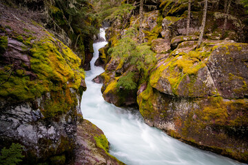 Long exposure of a mountain stream flowing beneath mossy boulders in a beautiful natural...