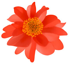 Beautiful Watercolor Flower Illustration