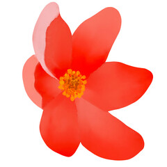 Beautiful Watercolor Flower Illustration