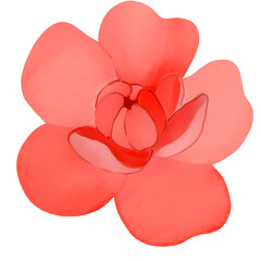 Beautiful Watercolor Flower Illustration