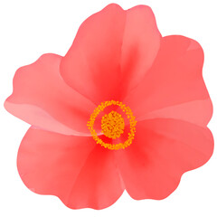 Beautiful Watercolor Flower Illustration