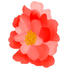 Beautiful Watercolor Flower Illustration