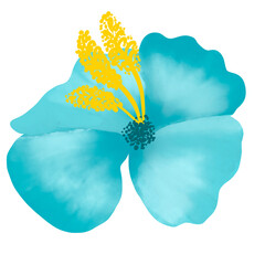 Beautiful Watercolor Flower Illustration