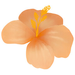 Beautiful Watercolor Flower Illustration