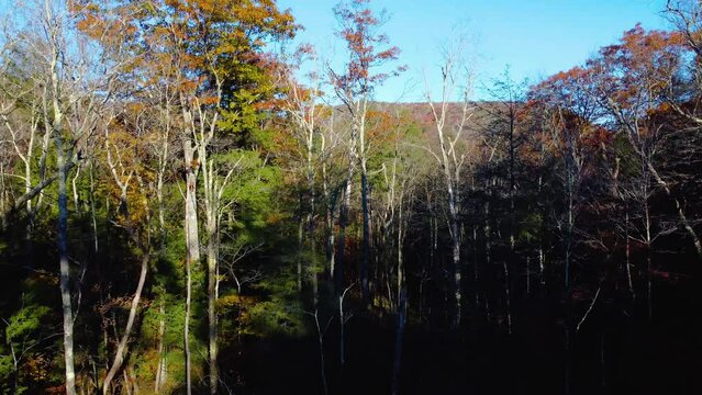 Drove video of the West Virginia Mountains in the Fall