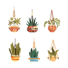 Green Plants and Botany Growing in Ceramic Pots as Home Decor Vector Set