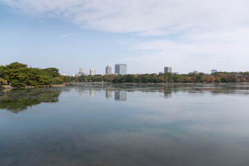 Fototapeta na wymiar view of city town skyline over the pond lake natural view under daytime in japan, big city with natural lake public