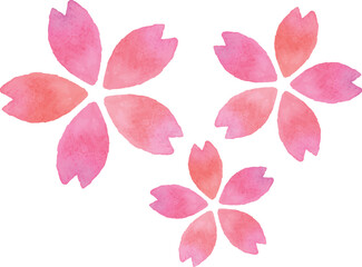 手書き　水彩　桜の花びら