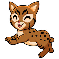 Cute pixie bob cat cartoon