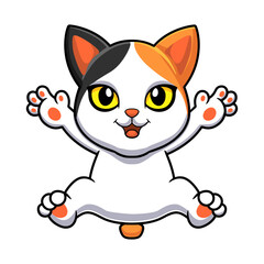 Cute japanese bobtail cat cartoon