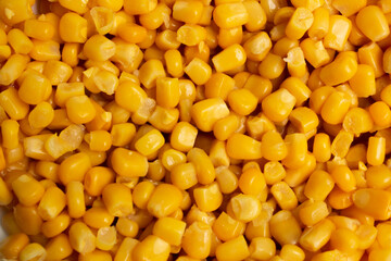 Food photo monochrome background with yellow corn grains. Ingredients for cooking vegetable veggie salad, festive dish. Canned corn. Vegan. Vegetarian. World food crisis. Street market concept. Market