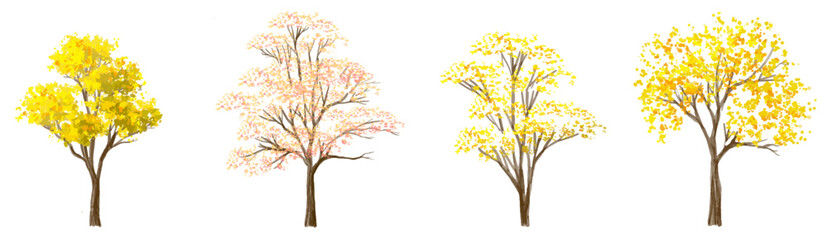 Vector watercolor blooming flower tree or forest side view isolated on white background for landscape and architecture drawing,elements for environment and garden,botanical for section in autumn   