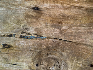 Wood wall as the textured background