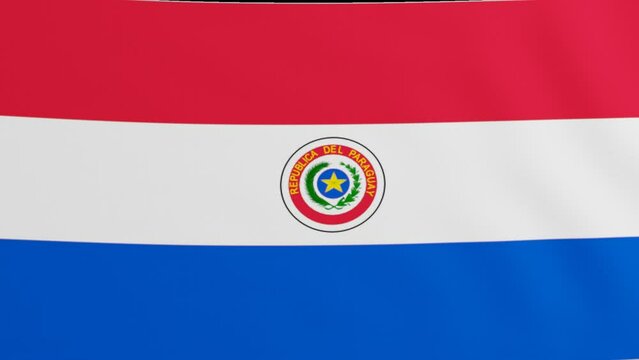 Paraguay Single flag waving in the wind with high quality with transparent background