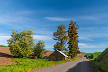 Typical American rural scene with a gravel road and farm with rustic, wood red barn in the Palouse Hills, Washington