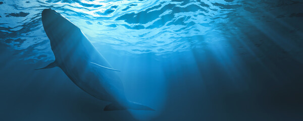 ultra Hd photo Sperm whale underwater view from under. Whale tail in  ocean and buetiful ray light. 3d rendering