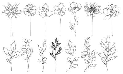 Flowers Set Line Art Drawing. Abstract Line Art Drawing of Flowers in Modern Linear Style. Simple Floral Illustration Set For Beauty Logo Design, Printing, T-shirts, Postcard, Poster. Vector EPS 10