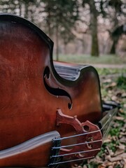 Obraz premium violin on a table