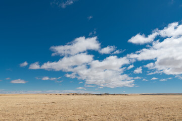 View of open range grassland in New Mexico under a vast blue sky