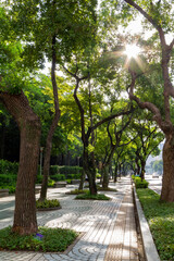Sunny view of the cityscape of Daan District