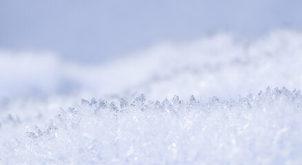 Obraz premium Fresh snow background. Natural winter backdrop. Texture in blue tones