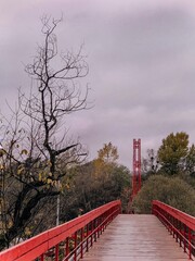 bridge