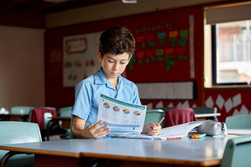 Primary school student in classroom working on homework