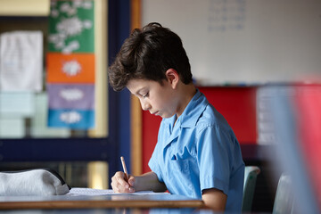 Primary school student in classroom working on homework