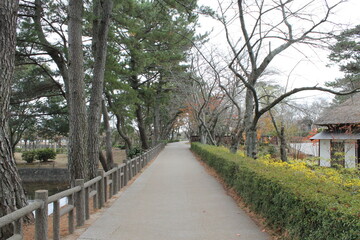 Fototapeta na wymiar 公園と冬の始まり