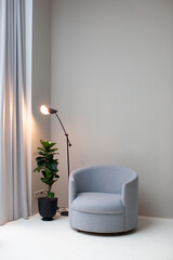 Modern interior. Gray armchair and floor lamp. Photo studio. Beautiful plant in a pot.