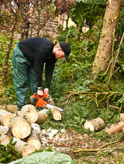 Woodcutter in action in denmark