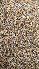 texture of coriander seed