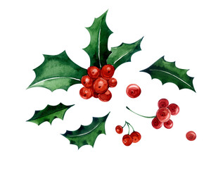 Clipart Holly. Watercolor illustration. Dark green leaves and red Holly berries. For the design of postcards, packaging, websites, stickers, etc.