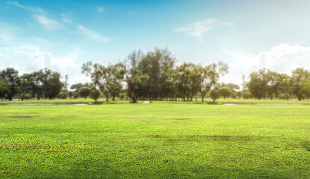 Empty dry cracked swamp reclamation soil, land plot for housing construction Green meadow, beautiful views and beautiful blue sky with fresh air Land for sales landscape concept.