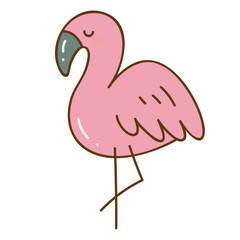 pink flamingo illustration