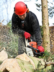 Woodcutter in action in denmark