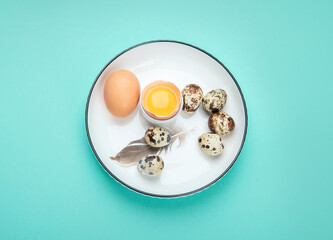 Eggs. Healthy food on color background