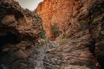 Auf dem Olive Trail - Blick in eine mit B&auml;umen und B&uuml;schen bewachsene Schlucht im Abendrot, Naukluft Gebirge, Namibia