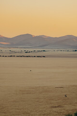 Blick von der Elim Düne in Richtung Naukluft Gebirge bei Sonnenuntergang - zwei einsame...