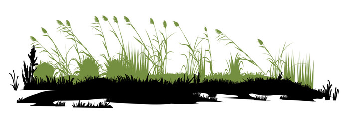 Swamp bumps. Thickets of reeds landscape. View of the river bank. Silhouette picture. Isolated on white background. Vector.