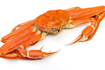 白いテーブルの上に赤いズワイガニ